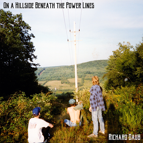 "On a Hillside Beneath the Power Lines" by Richard Daub